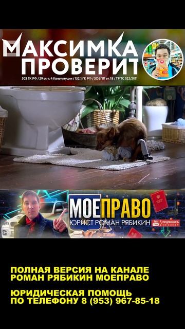 КИДАЛА БОИТСЯ ЗА СВОЮ ЖИЗНЬ смотреть онлайн