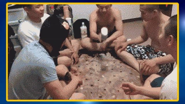 【2ch面白いスレ】画像とGIFで笑ったら寝ろｗ【＃2】 смотреть онлайн