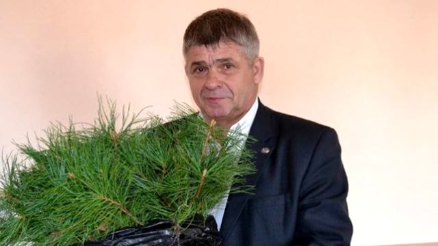 КЕДРЫ смотреть онлайн