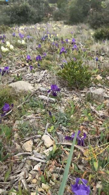 Leucate, France смотреть онлайн