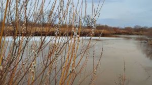 Амурский апрель