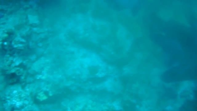 Scuba Diving Okinawa Japan смотреть онлайн