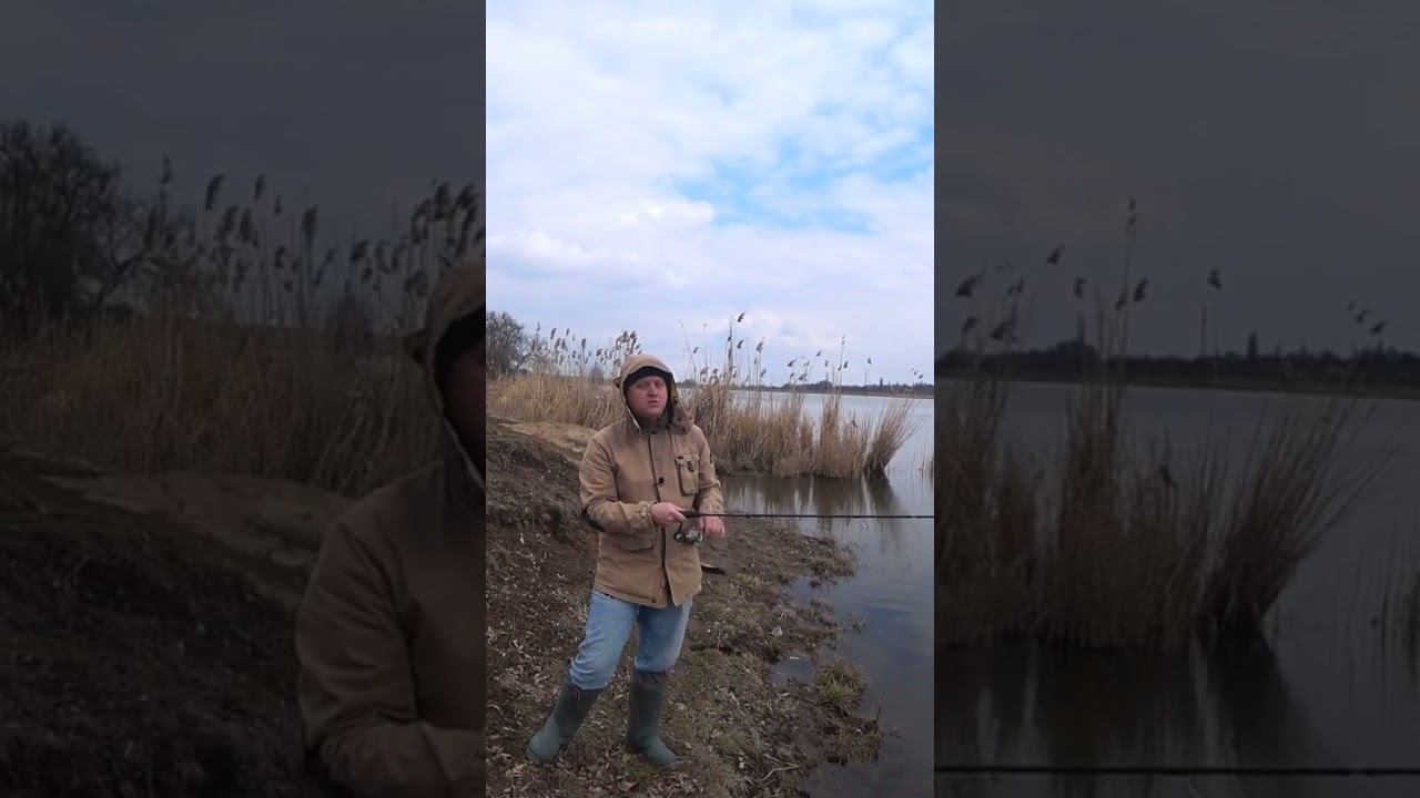 Меппс Аглия Лонг на щуку весной #щука #рыбалка #весна #спиннинг #блеснанащуку #shorts смотреть онлайн