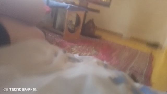 Моя собака плюшка ожившая штора