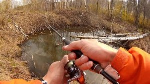 Рыбалка в двух непонятных лужах на спиннинг. Есть ли там рыба???