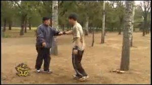 Боевое тайцзы.