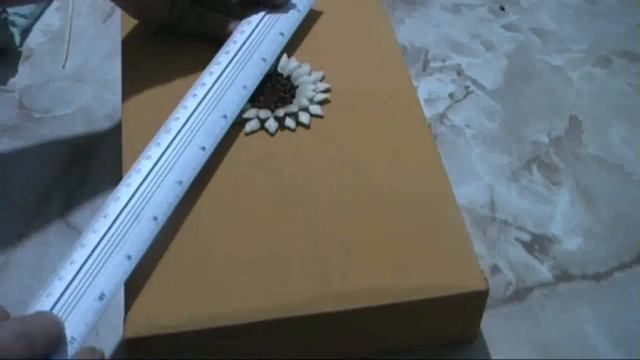 Шкатулка для насіння, декорована зернятками кавуна смотреть онлайн