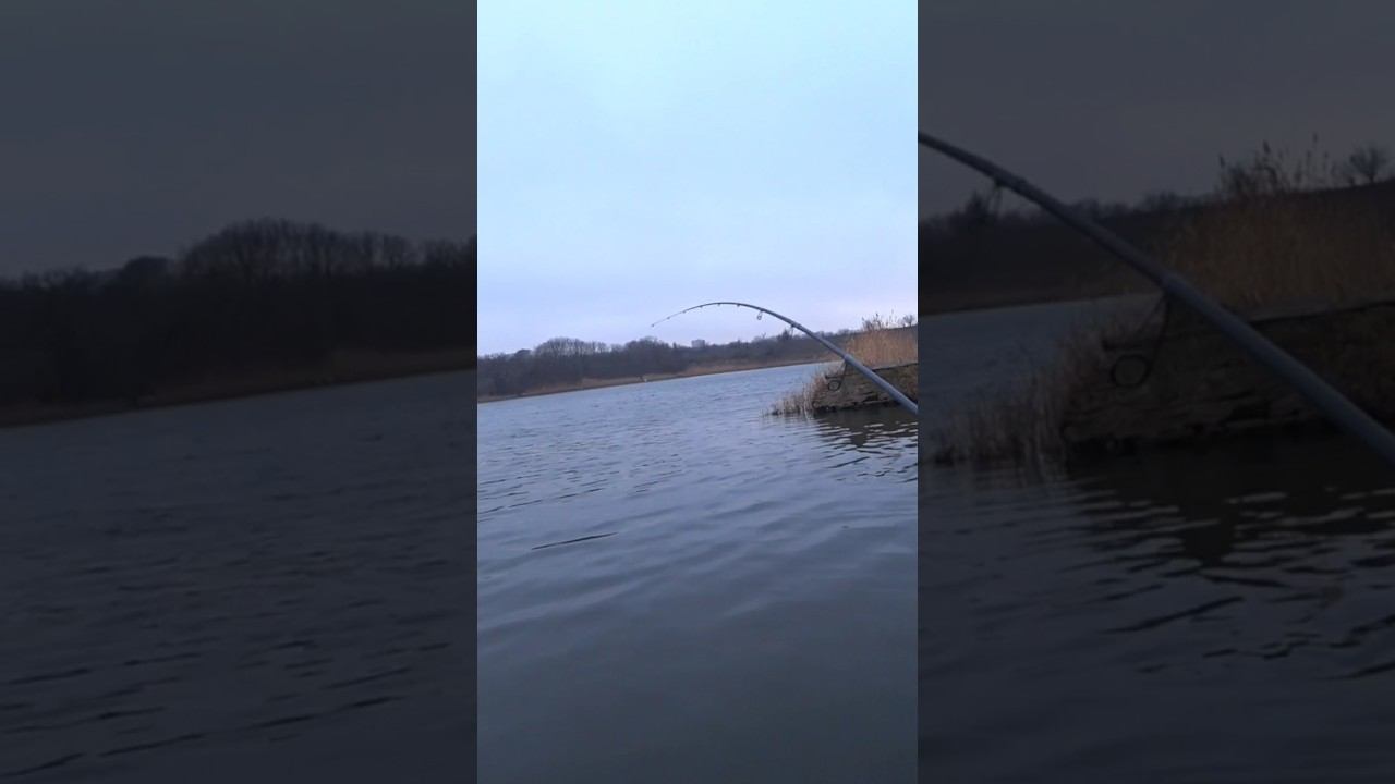 Поклёвка на отводной поводок #рыбалка #спиннинг #джиг #shorts смотреть онлайн