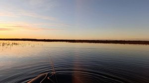 поздняя осень, раннее утро
