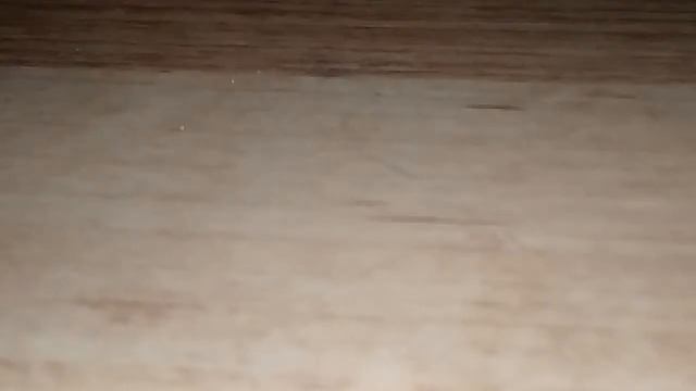 Обзор на Олд Фредди от лев 305 смотреть онлайн