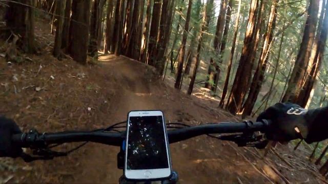 Endor Flow Trail // Camp Tamarancho // GoPro 8 // Turbo Levo смотреть онлайн
