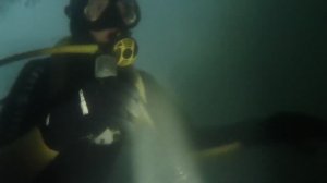 из архива любительский ночной дайвинг с прекрасной спутницей аквалангисткой