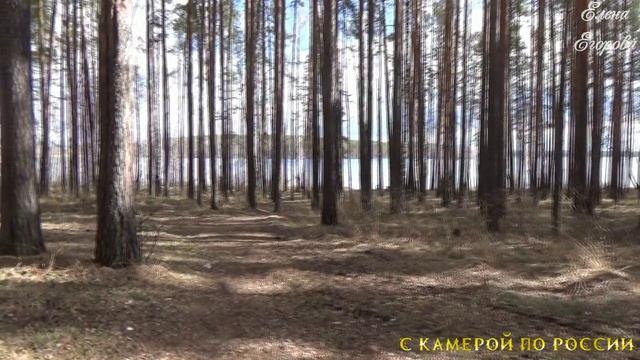 РЕФТИНСКИЙ 5 АПРЕЛЯ смотреть онлайн