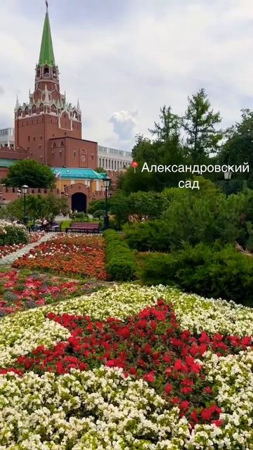 Александровский сад 17.07.22 смотреть онлайн