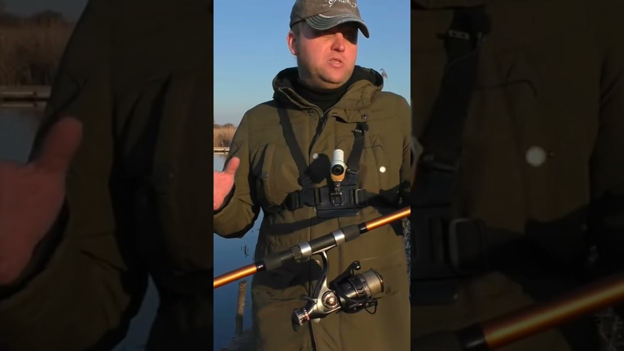 Akara geden carp #карповаяловля #рыбалка #карпфишинг #shorts смотреть онлайн