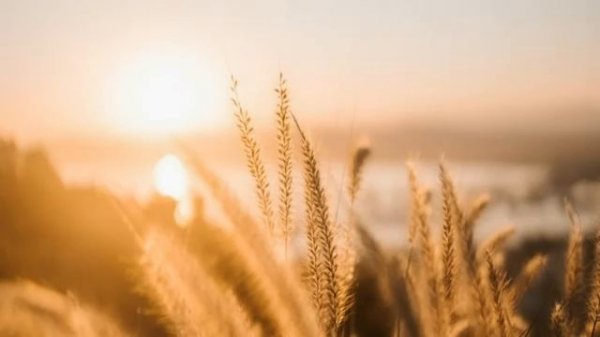 Успокоиться и заглянуть в себя