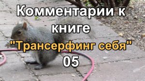 Комментарии к книге «Трансерфинг себя» 05
