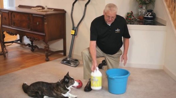 ODORx Un-Duz-It Unleashed