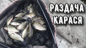Рыбалка на макушатник! ЛОВЛЯ КАРАСЯ