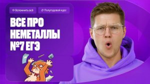 Всё про неметаллы для ЕГЭ по химии. Задание №7 | Полугодовой курс | Степенин и Дацук
