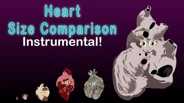 KLT - Heart Size Comparison Instrumental