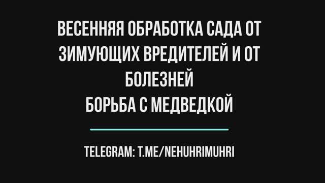 Весенняя обработка сада от зимующих вредителей и от болезней смотреть онлайн