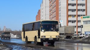 Автобус ЛАЗ А1414 "Лайнер-9". Покатушки по Новоалтайску.
