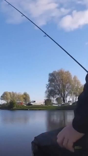 NEW Live Match Fishing Film NOW LIVE! #livematchfishing #livematchfishingfilms #fishing смотреть онлайн