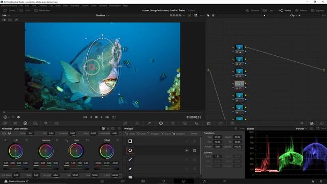 Edit and export your pictures Davinci resolve 17 смотреть онлайн