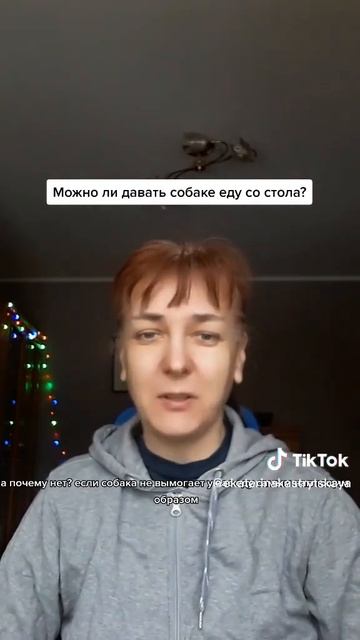 Можно ли давать собаке еду со стола? смотреть онлайн