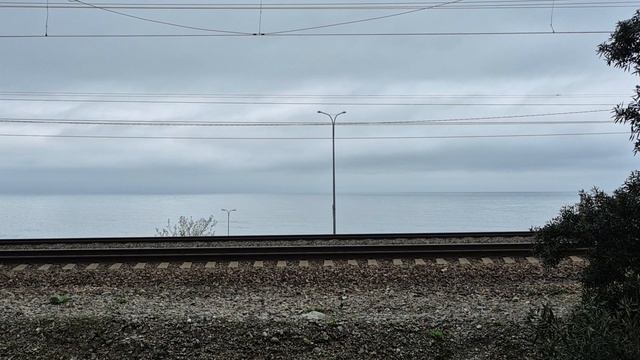 поезда сегодня