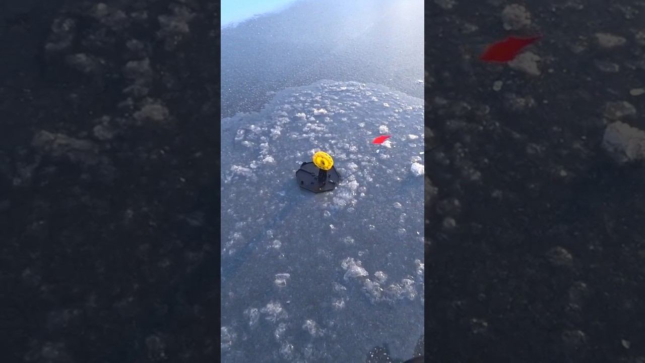 Стоит ли ставить флюорокарбоновый поводок? #рыбалка #зимняярыбалка #жерлица #shorts смотреть онлайн