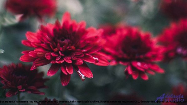 ❤ ❤ ❤ Трек, звучащий как монолог - Free rap trap type instrumental lowkey -- MOHMOHRAP -- Studio.mp4