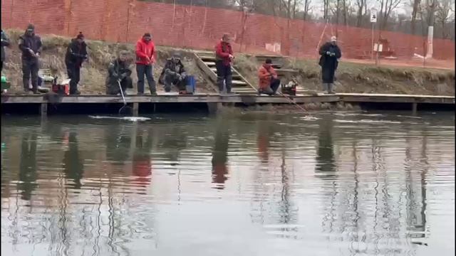 Поимки спорт зона смотреть онлайн