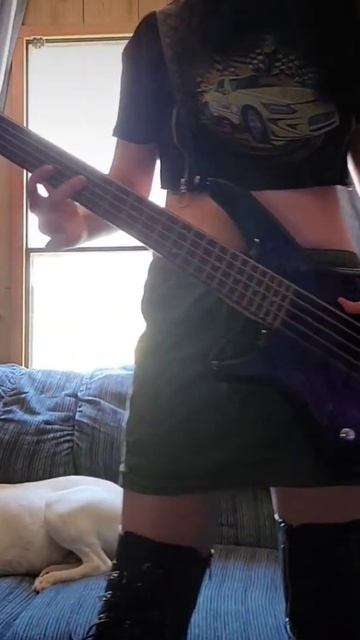 mamma mia by maneskin #maneskin #bassguitar #bass #music смотреть онлайн