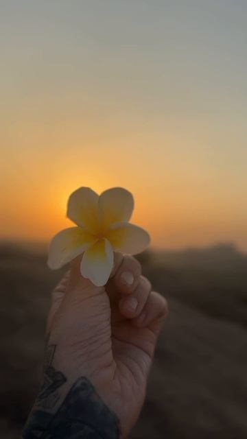 Тишина ума и тела