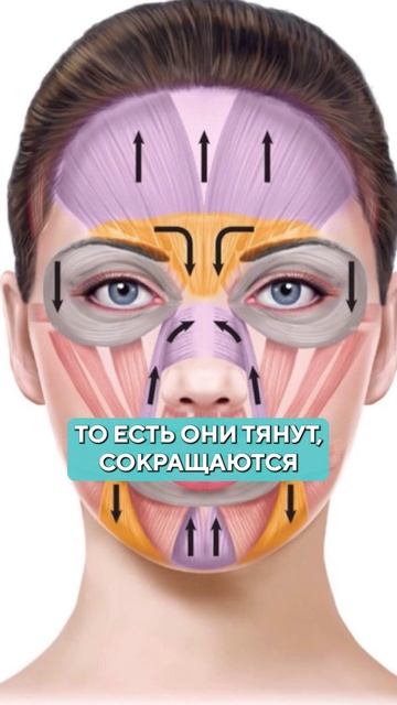 Как работает БОТОКС? Все, что нужно знать! #морщины #ботокс #косметолог смотреть онлайн