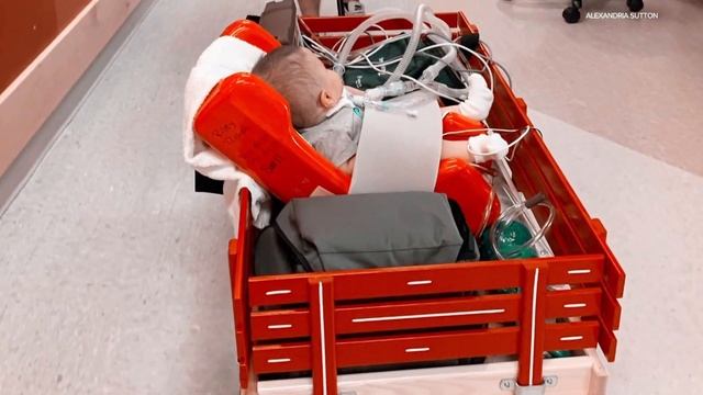 Riley wagon stolen from Columbus family смотреть онлайн