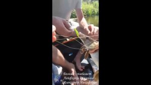 Рыбалка. Кто кого ловит, я не понял