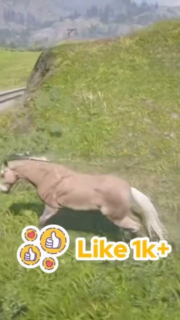 Bears attack on horse #foryou #bears #horse #shortvideo #trending #viral #ytshorts #youtubeshorts смотреть онлайн