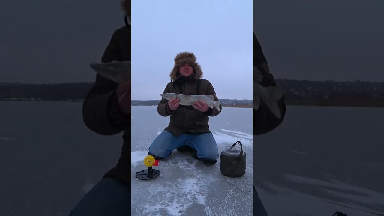 Рыбалка на щуку со льда #рыбалка #щуканажерлицы #зимняяловлярыбы #shorts смотреть онлайн