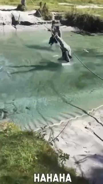 биба и боба.mp4