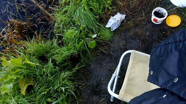 Обзор деревенского пруда и улова карасиков. смотреть онлайн