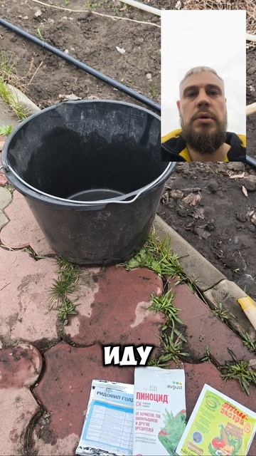 Баковая смесь для обработки хвойных черенков🌲 смотреть онлайн