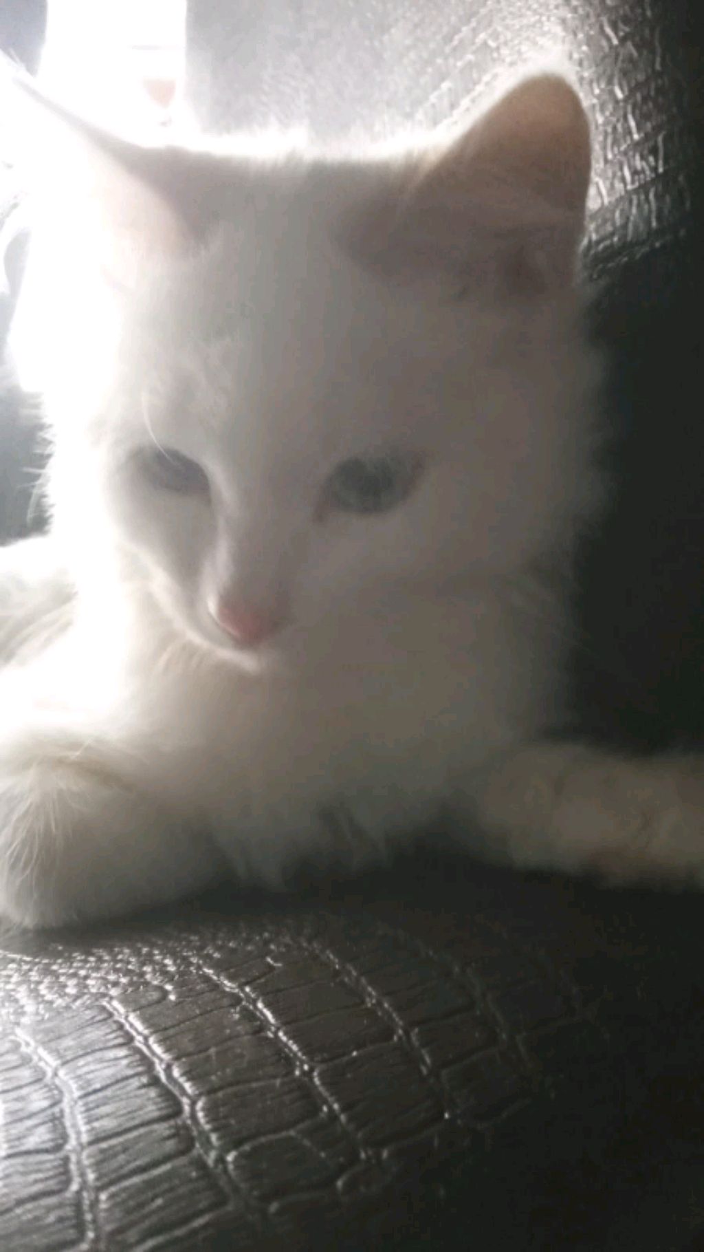 выбираем мне образ