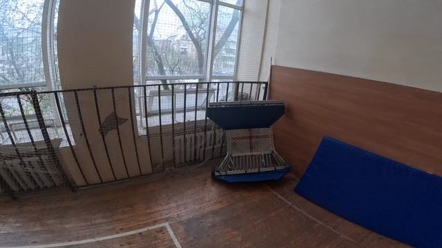 Волейбол Команда Мечты 06.04.25 ч12