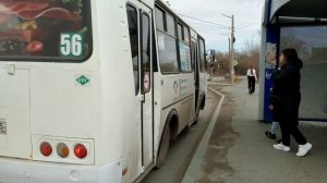 маршрут 56 Курган ПАЗик кузнечик