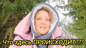 ЧТО ЗДЕСЬ ПРОИСХОДИТ | Дом в деревне | Деревенские будни | Деревня