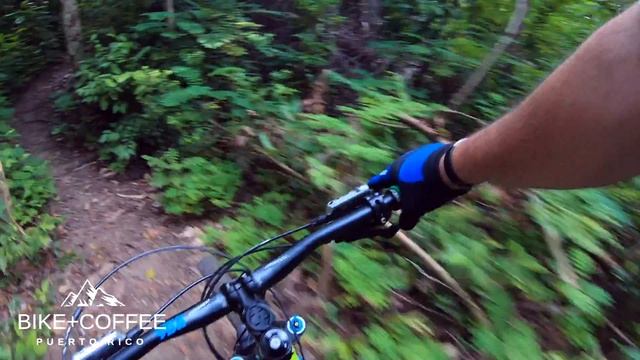 Blair Witch Trail, Monagas MTB Park смотреть онлайн