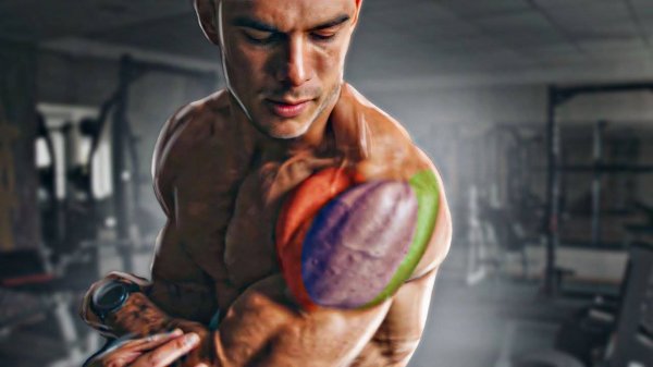 Накачать Большие ПЛЕЧИ ( В Тренажерном Зале)